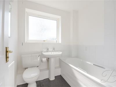 Picture 24